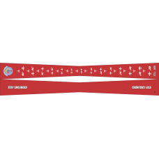 Image for 375 AES Flight Scarf, Scott AFB