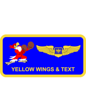 Image for 334 FS Boxing Eagle Name Tag