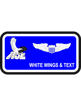 Image for 4 TS F-15E Eagle Name Tag