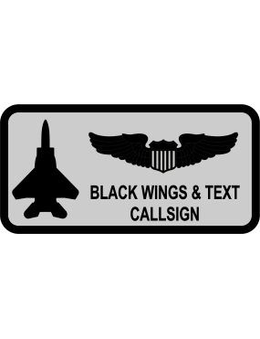 Image for 4 TS Gray F-15E Name Tag