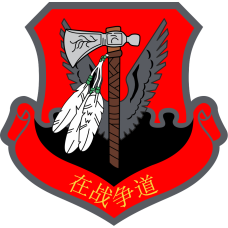 Image for 335 FS Tomahawk with Chinese Text Patch