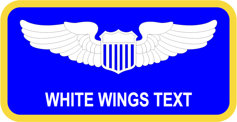 15 AF Blue Name Tag 