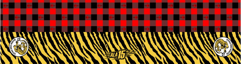 Ala 15 Flight Scarf, Zaragoza AB
