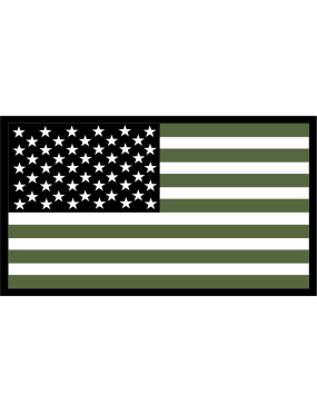 Image for 301 AS OD Green American Flag