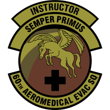 Image for 60 AES Instructor Semper Primus OCP Patch