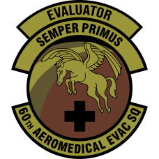 Image for 60 AES Evaluator Semper Primus OCP Patch