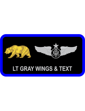 Image for 349 OSS Golden Bear Black Name Tag