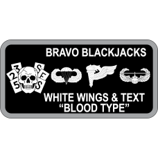 Image for 325 SFS Black/Gray Skull Name Tag