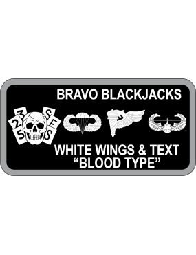 Image for 325 SFS Black/Gray Skull Name Tag