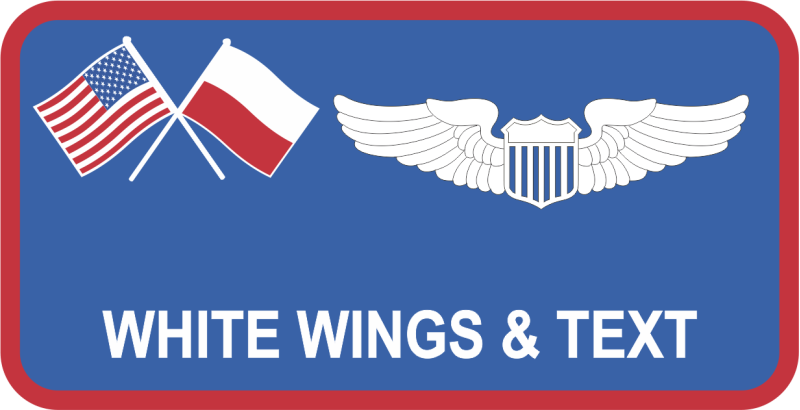 US Embassy Warsaw Name Tag 