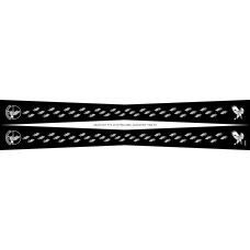 Image for 557 FTS Flight Scarf