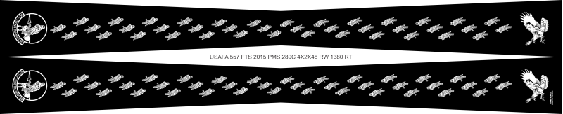 557 FTS Flight Scarf