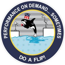Image for 94 FTS Orca Patch
