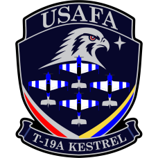 Image for 306 FTG T-19A Kestrel USAFA Eagle Dark Navy Patch