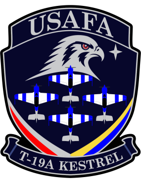 Image for 306 FTG T-19A Kestrel USAFA Eagle Dark Navy Patch