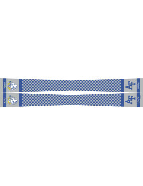 Image for USAF Academy Outreach Flight Scarf