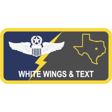 Image for 645 AESS, Det 1 Texas State Outline Name Tag