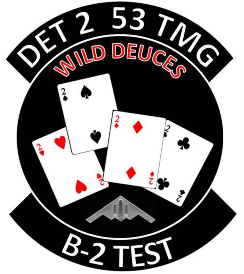 Det 2, 53 TMG Wild Deuces Patch