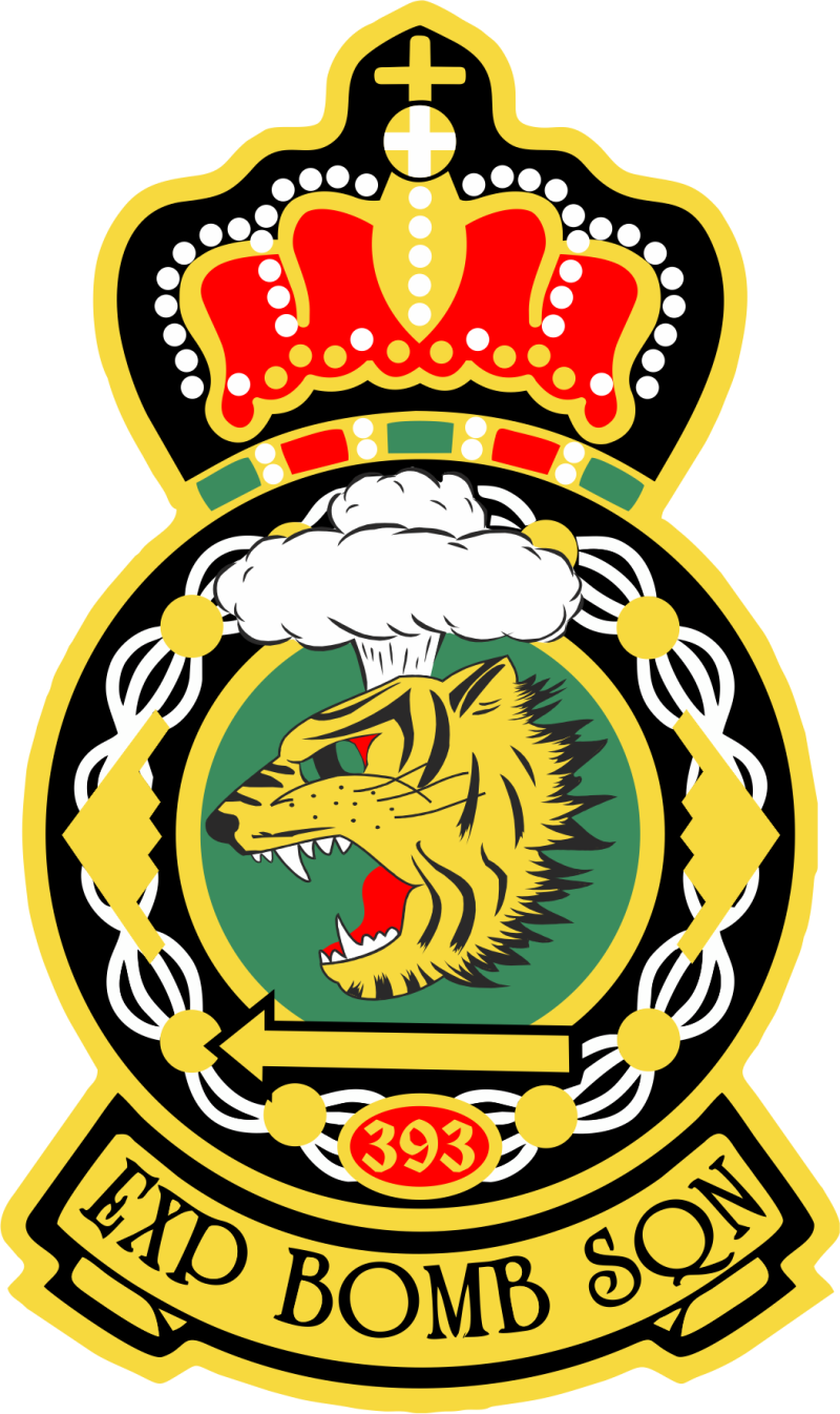 393 EBS Crown Full Color Patch 