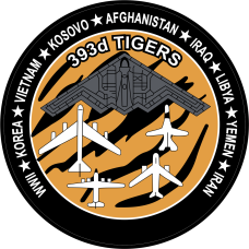 Image for 393 BS Heritage Campaign Patch