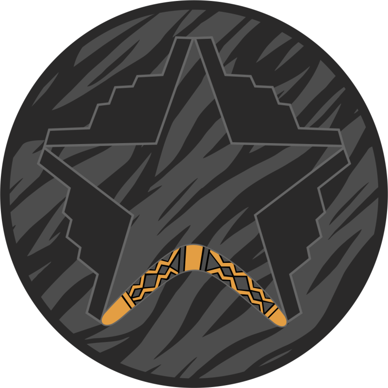 393 BS Boomerang B-2 Star Patch