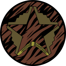 Image for 393 BS Boomerang B-2 Star OCP Patch