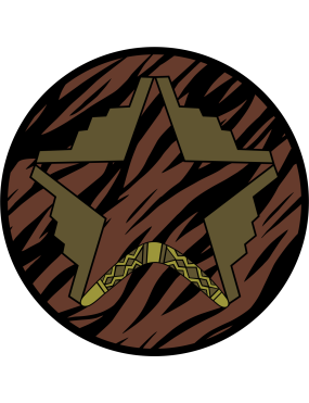 Image for 393 BS Boomerang B-2 Star OCP Patch
