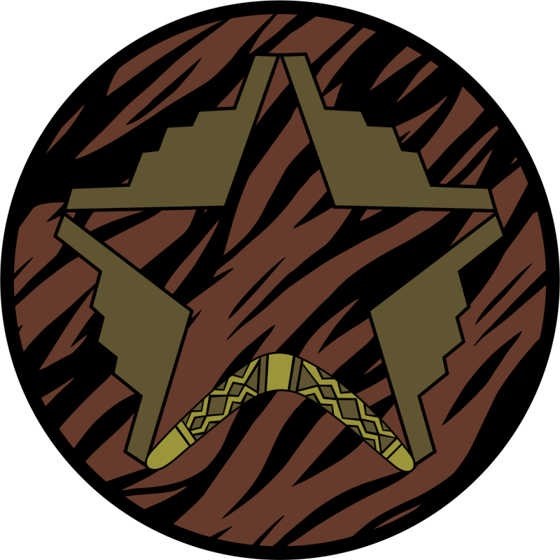 393 BS Boomerang B-2 Star OCP Patch