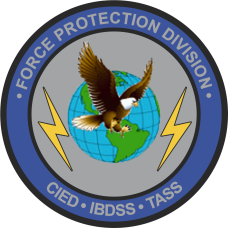 Image for Force Protection Division Patch