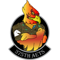 Image for 375 AETS Phoenix Patch 4"