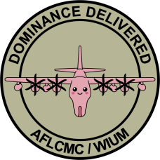 Image for AFLCMC / WIUM C-130J Uterus Patch
