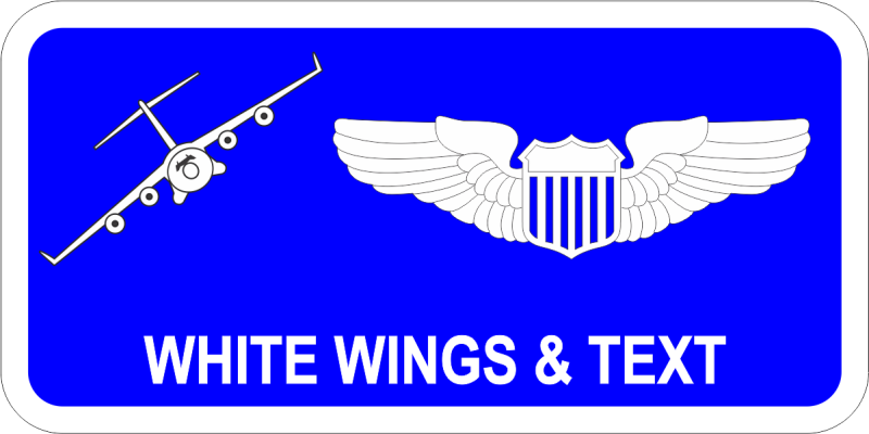 1 AF C-17 Name Tag