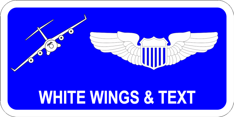 1 AF C-17 Name Tag