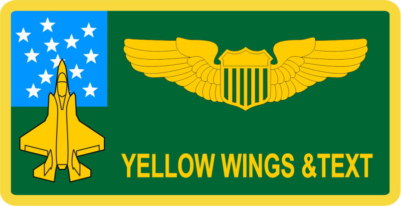 134 FS / 158 FW  F-35 Name Tag