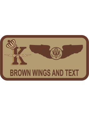 Image for 39 RQS Desert Name Tag