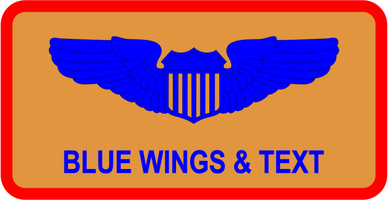 44 RS Orange Name Tag