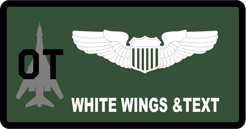 53 TMG Det 3 Name Tag