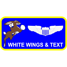 Image for 96 FTS  Name Tag