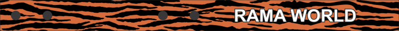 Tiger Stripes Bag Tag