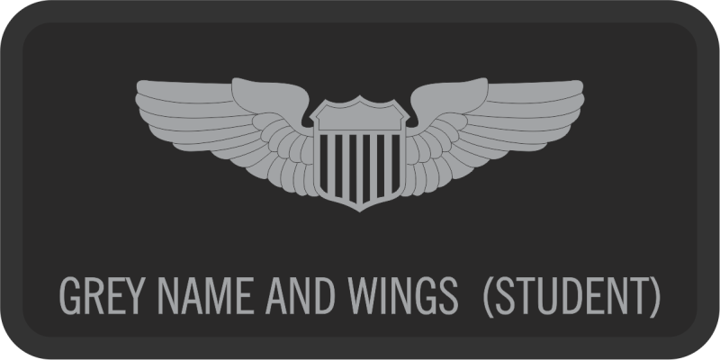 9 OG Det 5 Gray Wings Name Tag
