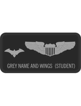 Image for 9 OG Det 5 Gray Wings & Bat Name Tag