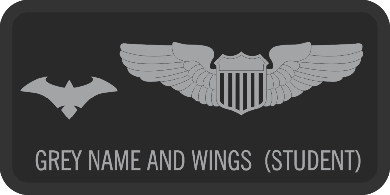 9 OG Det 5 Gray Wings & Bat Name Tag