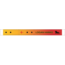 Image for 16 AS Lion Bag Tag