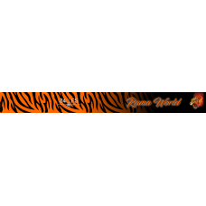 Image for 24 FS Bag Tag