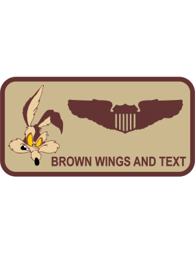 Image for 190 ARW Desert Name Tag - Kansas ANG