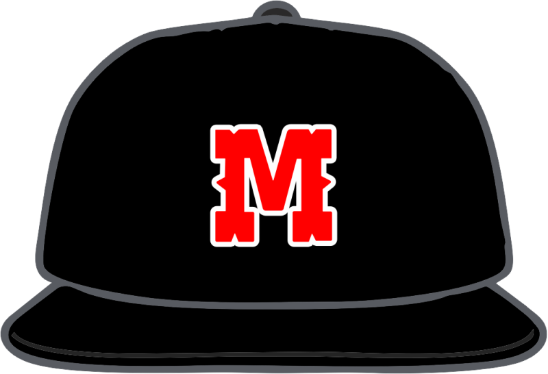 Molly's Custom Silver Black Hat