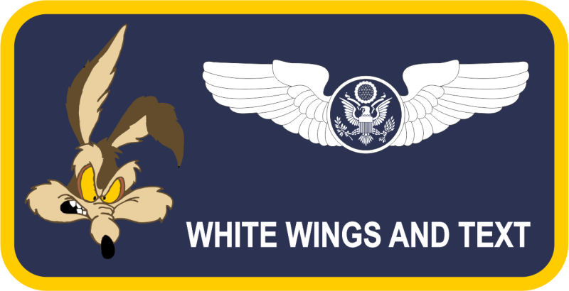 117 ARS Blue Name Tag