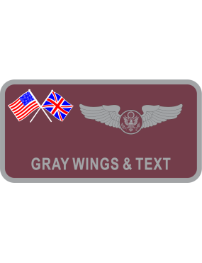 Image for 100 ARW Name Tag