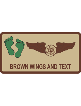 Image for 101 RQS New York ANG Desert Name Tag