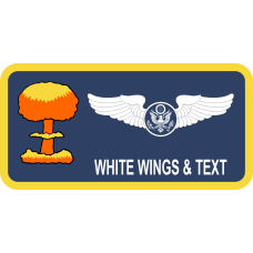 Image for 117 ARS Nuke Tag Forbes Field KSANG Name Tag